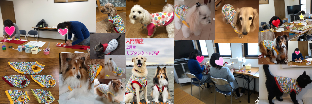 わんこ服手作り教室 Hapimo Shares | 犬服教室 Hapimo ❤ Shares