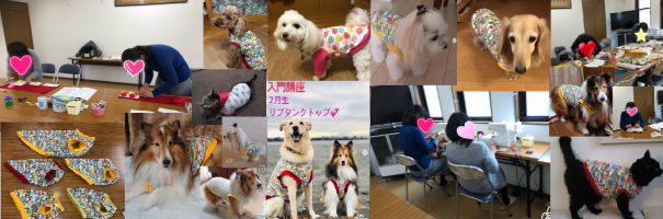 わんこ服手作り教室 Hapimo Shares | 犬服教室 Hapimo Shares