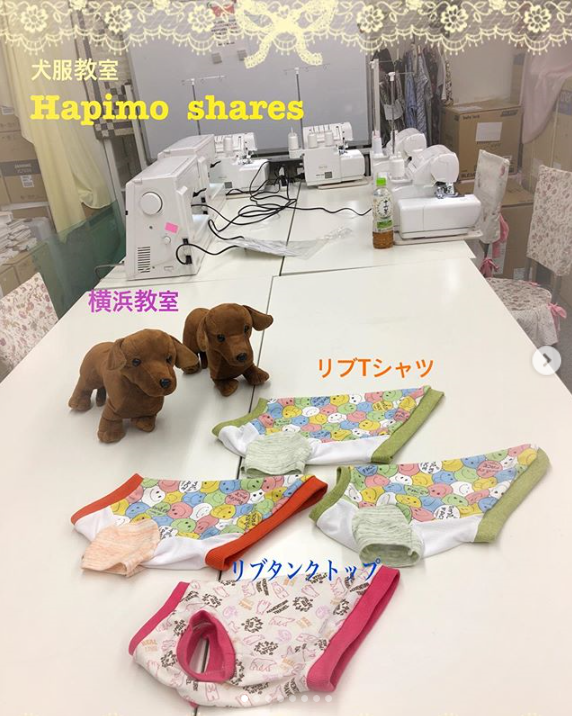 5 10 犬服 横浜教室でした 犬服教室 Hapimo Shares ハピモシャレス 東京 神奈川 千葉 日暮里 横浜 鎌倉 藤沢 平塚 山下公園 千葉