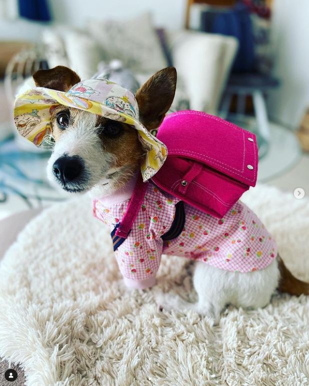 犬服 ハンドメイド バックオープンベスト