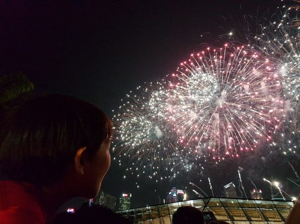 National Day 19 Familytravelog Our Singapore Life