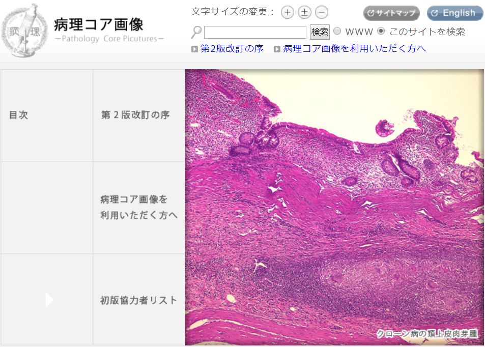 8948ecc656c4c04e0087dfcda942cb