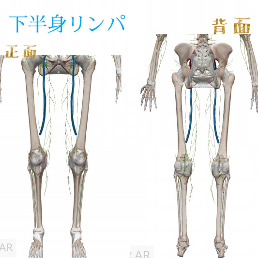 55 56 上半身 下半身リンパ ピリカノplus 元ﾘﾌﾚﾊﾟｼｰpirkano