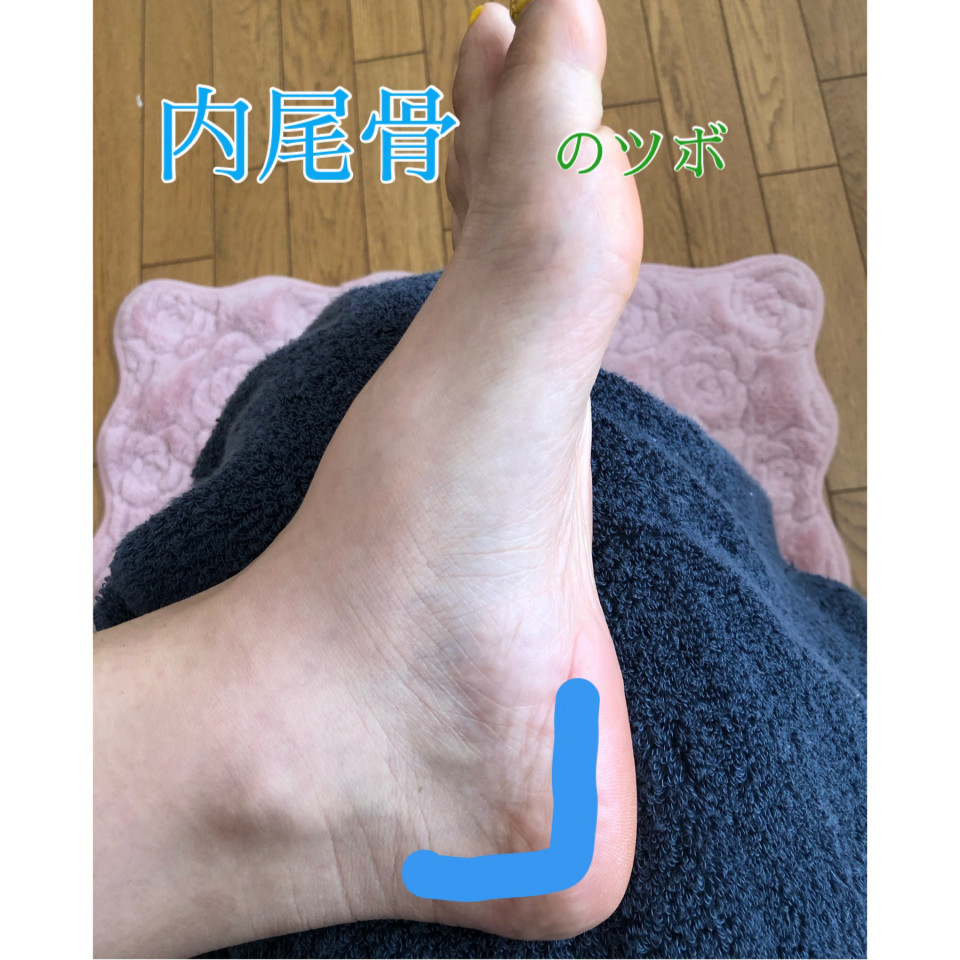 35 内尾骨 リフレパシーピリカノ 35 内尾骨 リフレパシーピリカノ