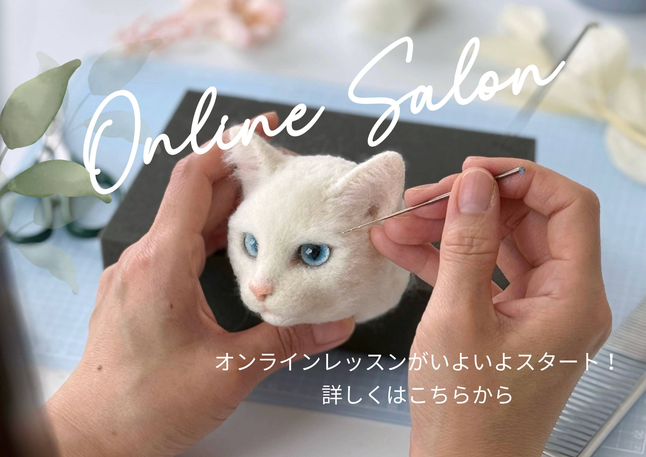 裁断済み 犬と猫の特殊検査マニュアル｜犬と猫の特殊検査