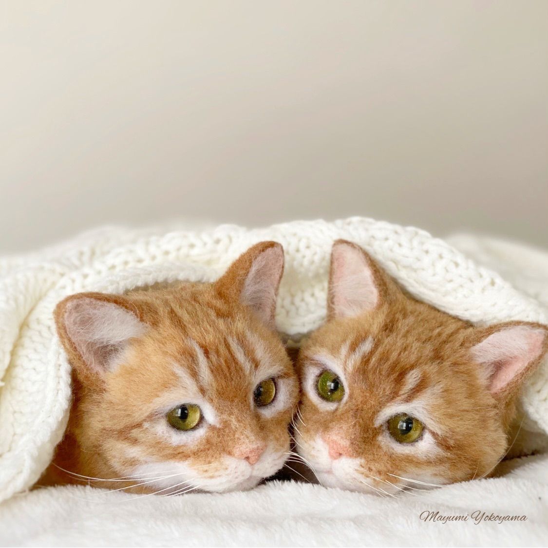 GALLERY Mayumi Yamamoto