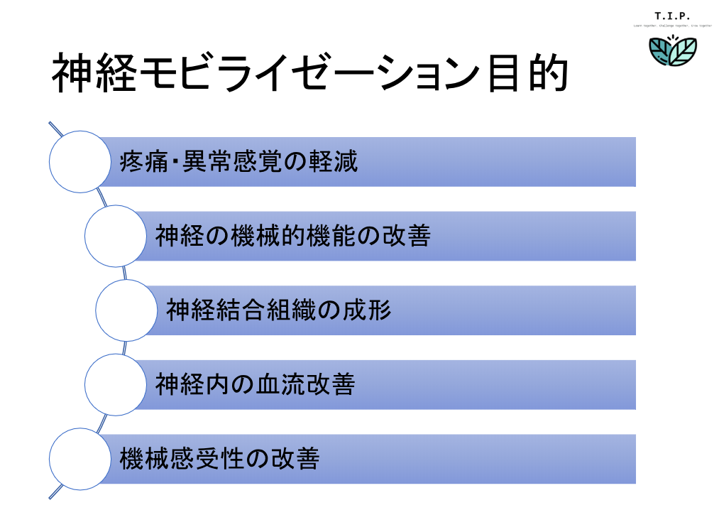 神経系モビライゼーション(痛み・しびれ・可動域障害の治療） （全４枚）