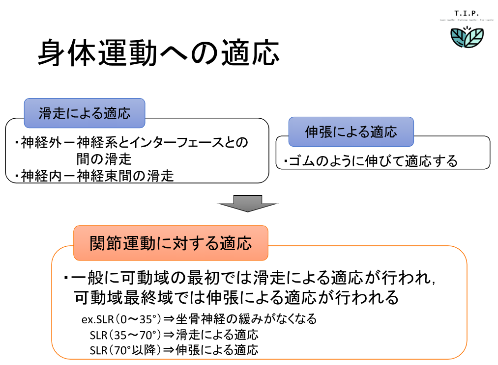 第5回T.I.P.研修会レポート「神経モビライゼーション」 | T.I.P.