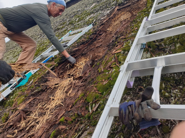 東京都青梅市杉皮葺屋根補修工事 富士かやぶき建築 茅吉