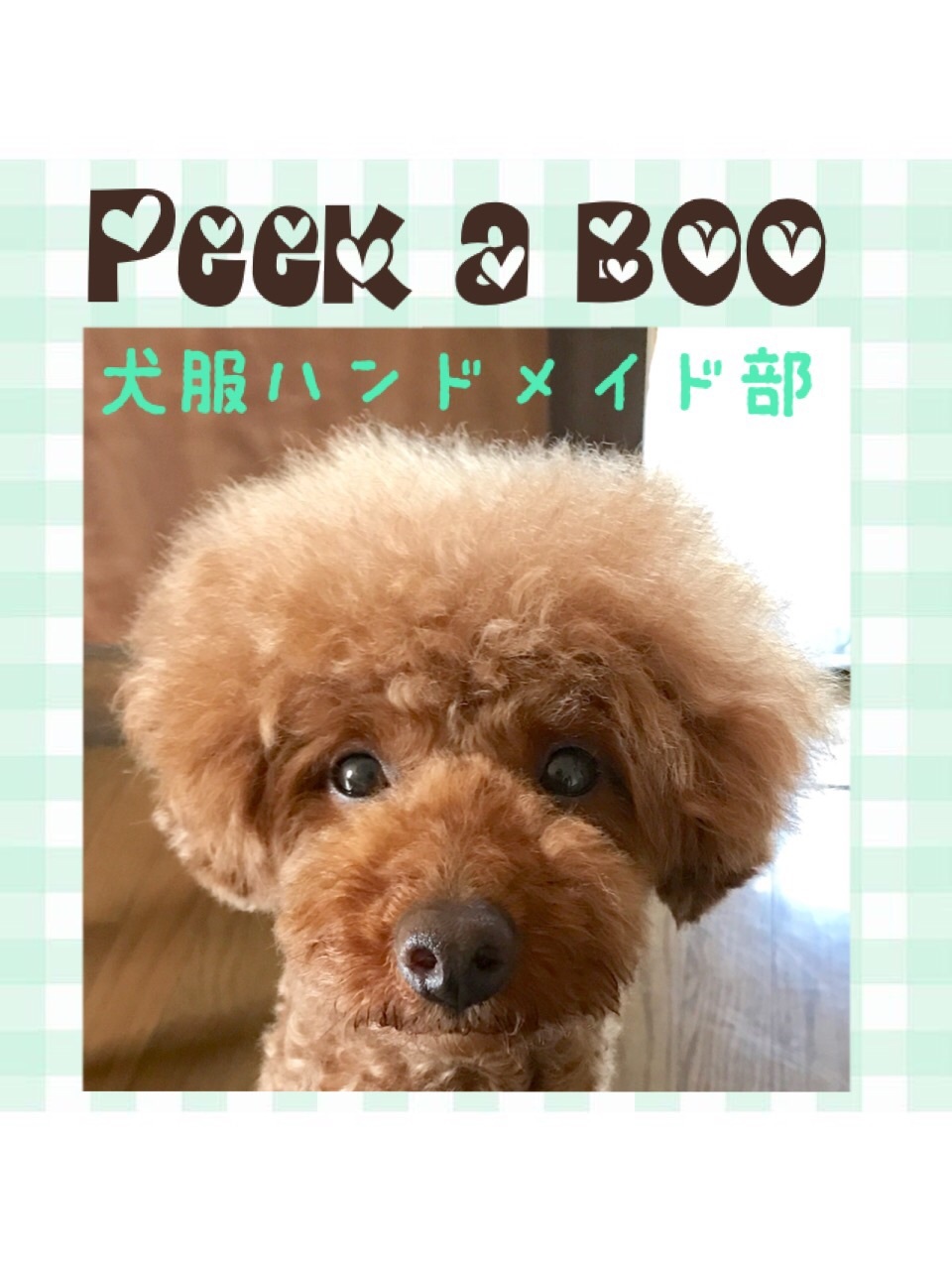 Peek A Boo犬服ハンドメイド部 Peek A Boo