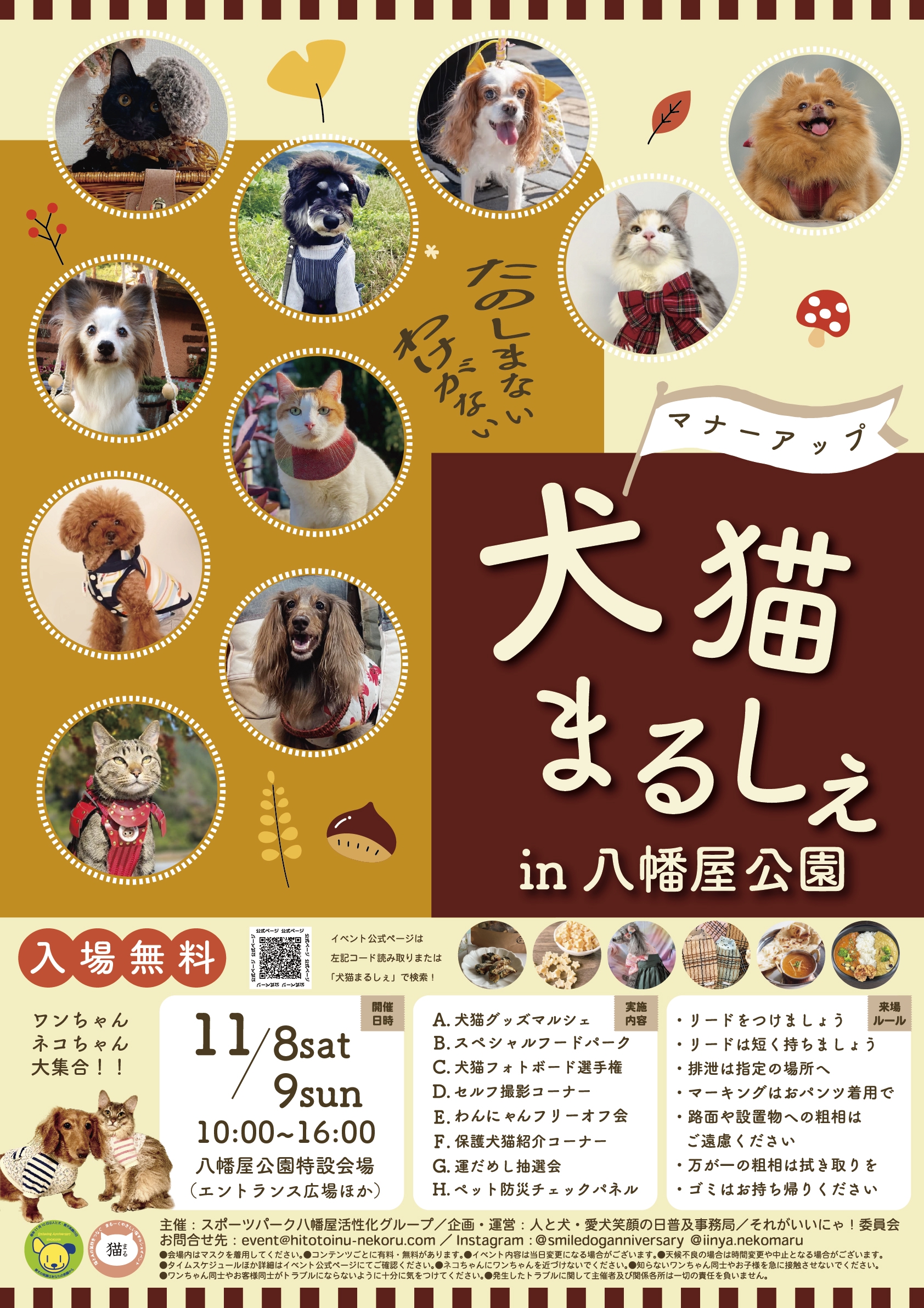 6/1♡わんちゃん♡ダックス♡パネル♡ハンドメイド 6/1 わんちゃん パネル