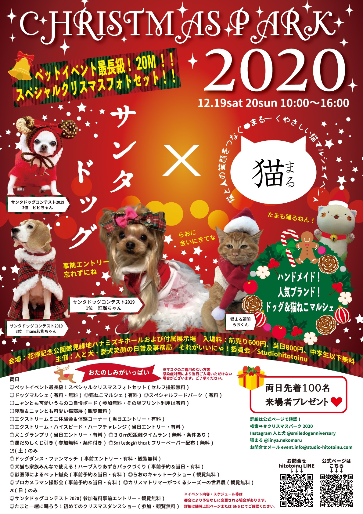 クリスマスパーク 人と犬 愛犬笑顔の日