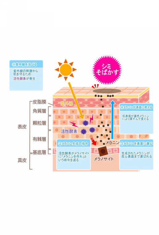 敏感肌 顔のむくみ 顔のクセコリ 表情まで変えるエステ フェイシャルトレーニングって一体なにするの 大阪市の美容院 髪のエステ専門店 Gluck グリュック さおりのブログ 髪質改善 フェイシャル 敏感肌 顔のむくみ 顔のクセコリ 表情まで変えるエステ フェイシャルトレーニングって一体なにするの 大阪市の美容院 髪のエステ専門店 Gluck グリュック さおりのブログ 髪質改善 フェイシャル
