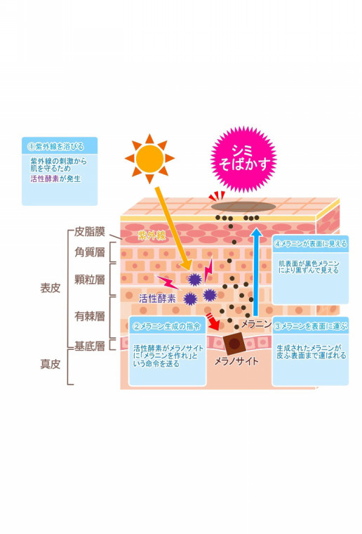 敏感肌 顔のむくみ 顔のクセコリ 表情まで変えるエステ フェイシャルトレーニングって一体なにするの 大阪市の美容院 髪のエステ専門店 Gluck グリュック さおりのブログ 髪質改善 フェイシャル