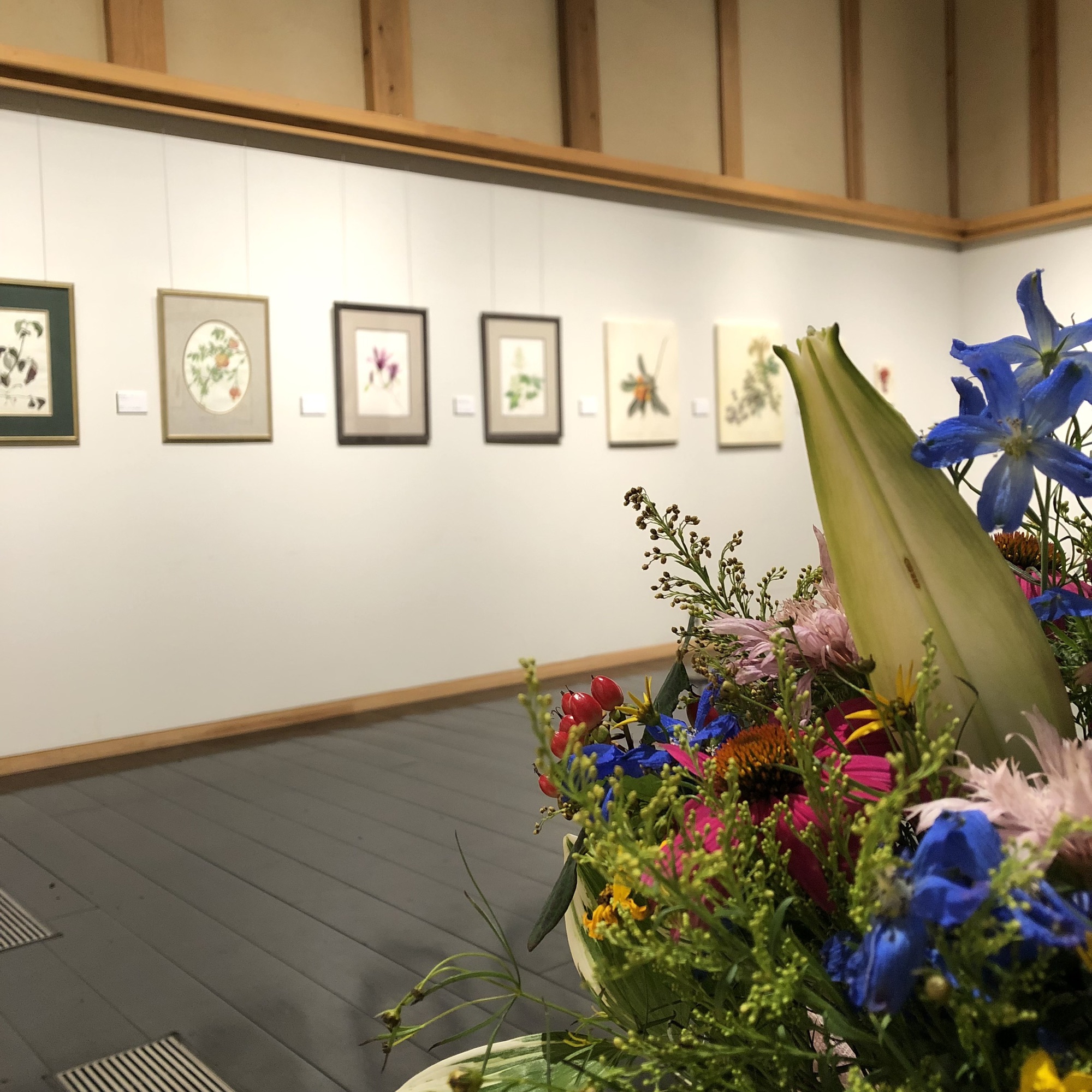 3回目 Botanical Art Classes