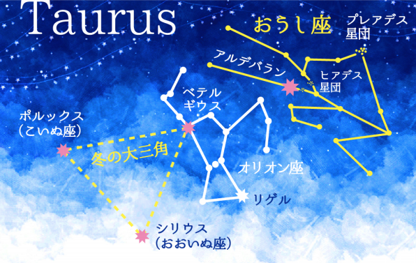 2月の星空ラブレター 19年 星海舎