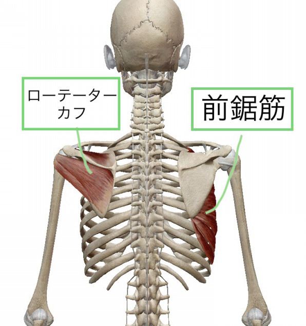 立甲 りっこうをしてみよう ココロとカラダをゆるめて軽やかに ココロとカラダのメンテ術 Body Mainte Corch Marie