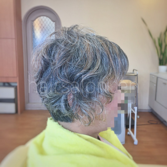 白髪染めをやめてグレイヘアへ Hairsalon En