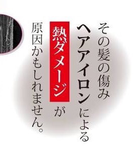 髪にヘアアイロンで ジュッ なった経験ありますか 意外と知らない 髪に の熱で起こる 水蒸気爆発と炭化とは 福島市 郡山市の美容室カミケン Kamiken