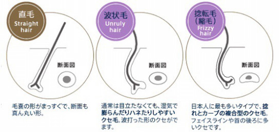 髪のクセやうねうね感が気になる 原因と対策 Kamiken Next