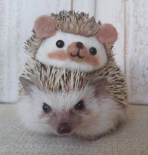 参加クリエイター ハリジェニック展