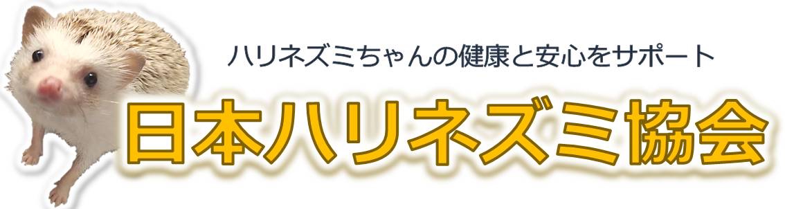 日本ハリネズミ協会 ハリジェニック展