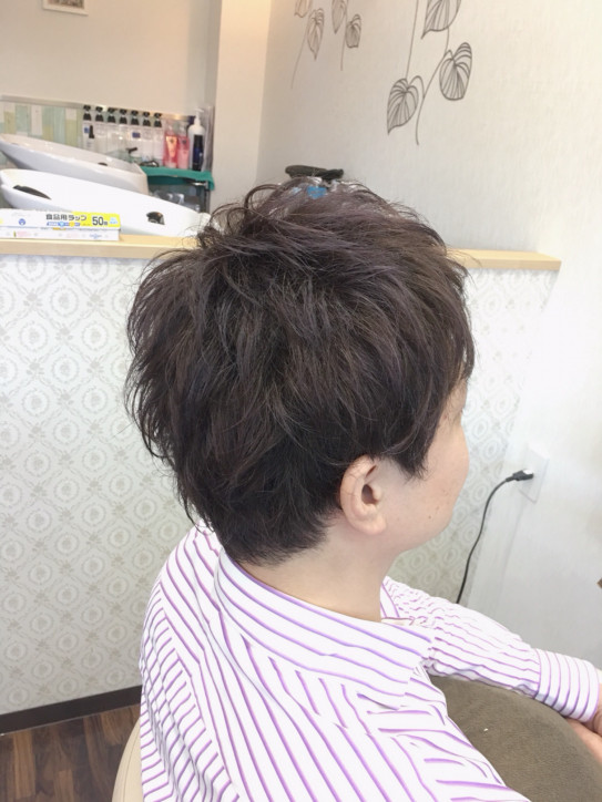 メンズ ハイライトでシルバーグレー Artista Hair