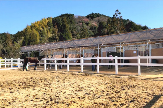 アヴニールファーム様へ伺いました 馬の未来に彩りを