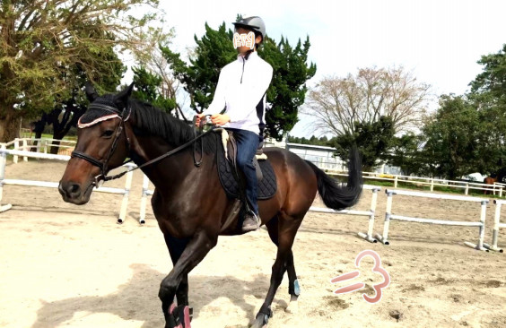 馬事学院様 エアソミュール君 馬の未来に彩りを