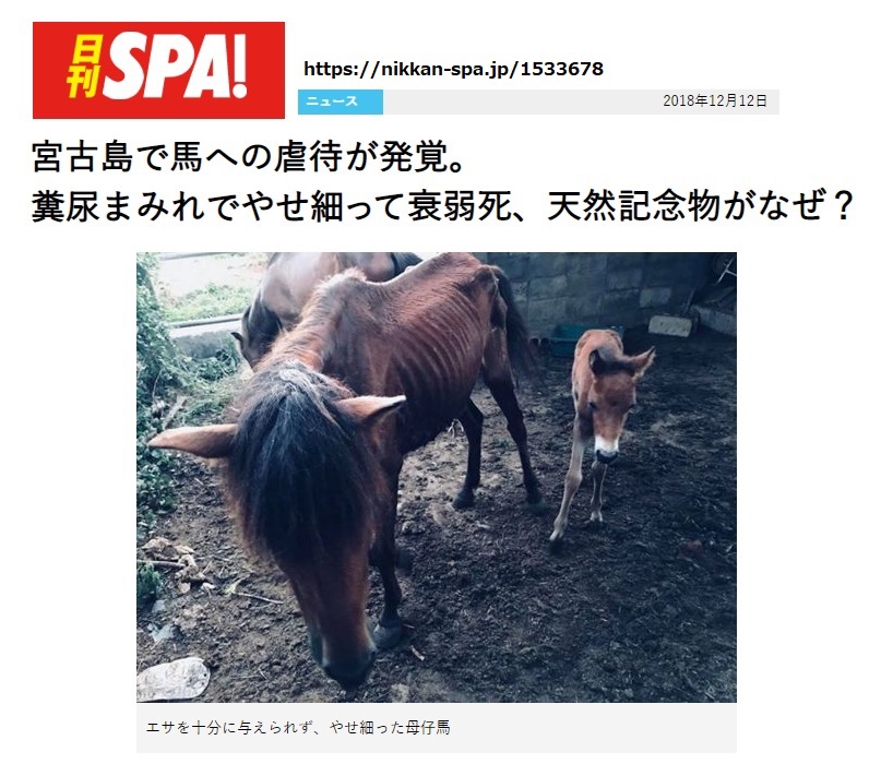 Amazon.com: 沖縄県指定天然記念物・宮古馬の一日 [DVD