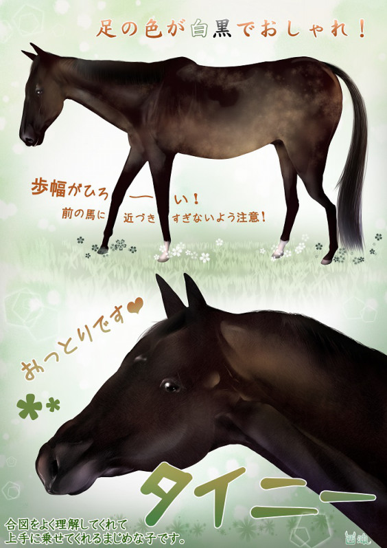 創作物一覧 馬の未来に彩りを