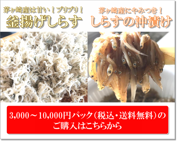 茅ヶ崎しらす 茅ヶ崎産専門通販サイト