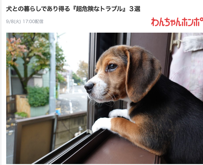 コロンが載ってました ビーグル犬 イラスト カフェ