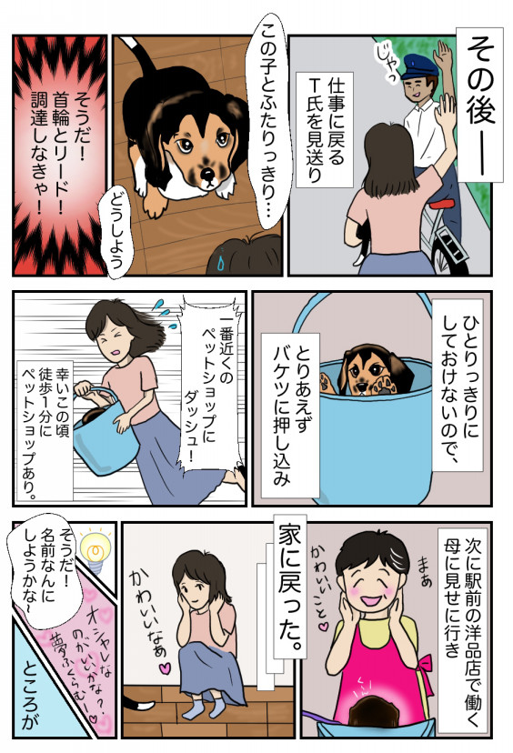 漫画 ビーグル犬ジローとコースケ 19 ジローが我が家にやってきた4 ビーグル犬 イラスト カフェ