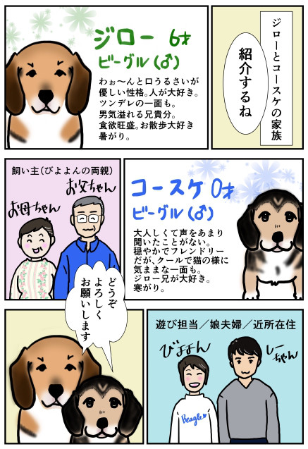 漫画 ビーグル犬ジローとコースケ 1 自己紹介 ビーグル犬 イラスト カフェ 漫画 ビーグル犬ジローとコースケ 1 自己紹介 ビーグル犬 イラスト カフェ