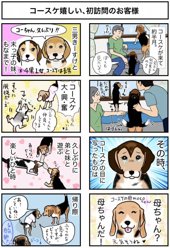 漫画 ビーグル犬ジローとコースケ 11 嬉しいお客さま ビーグル犬 イラスト カフェ 漫画 ビーグル犬ジローとコースケ 11 嬉しいお客さま ビーグル犬 イラスト カフェ
