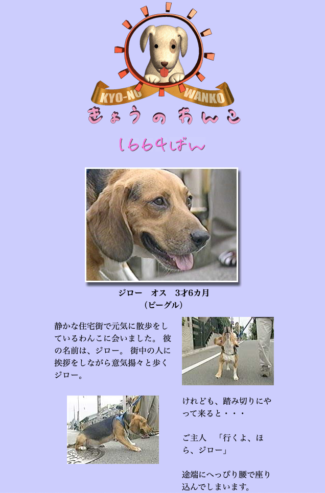 お知らせ 今日のわんこにビーグルが出るよ ジローも出たよ ビーグル犬 イラスト カフェ お知らせ 今日のわんこにビーグルが出るよ ジローも出たよ ビーグル犬 イラスト カフェ