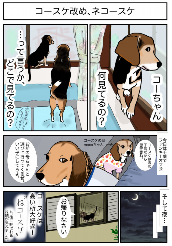 漫画 ビーグル犬ジローとコースケ 17 ねコースケ ビーグル犬 イラスト カフェ