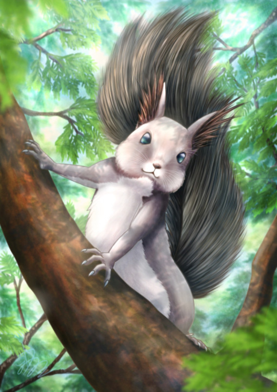 Gallery うみのこ Uminoco