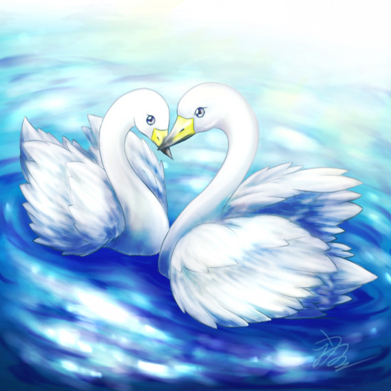 水鳥 冬鳥 うみのこ Uminoco