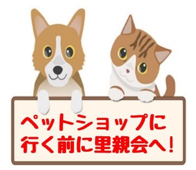 動物保護団体わんにゃんこ