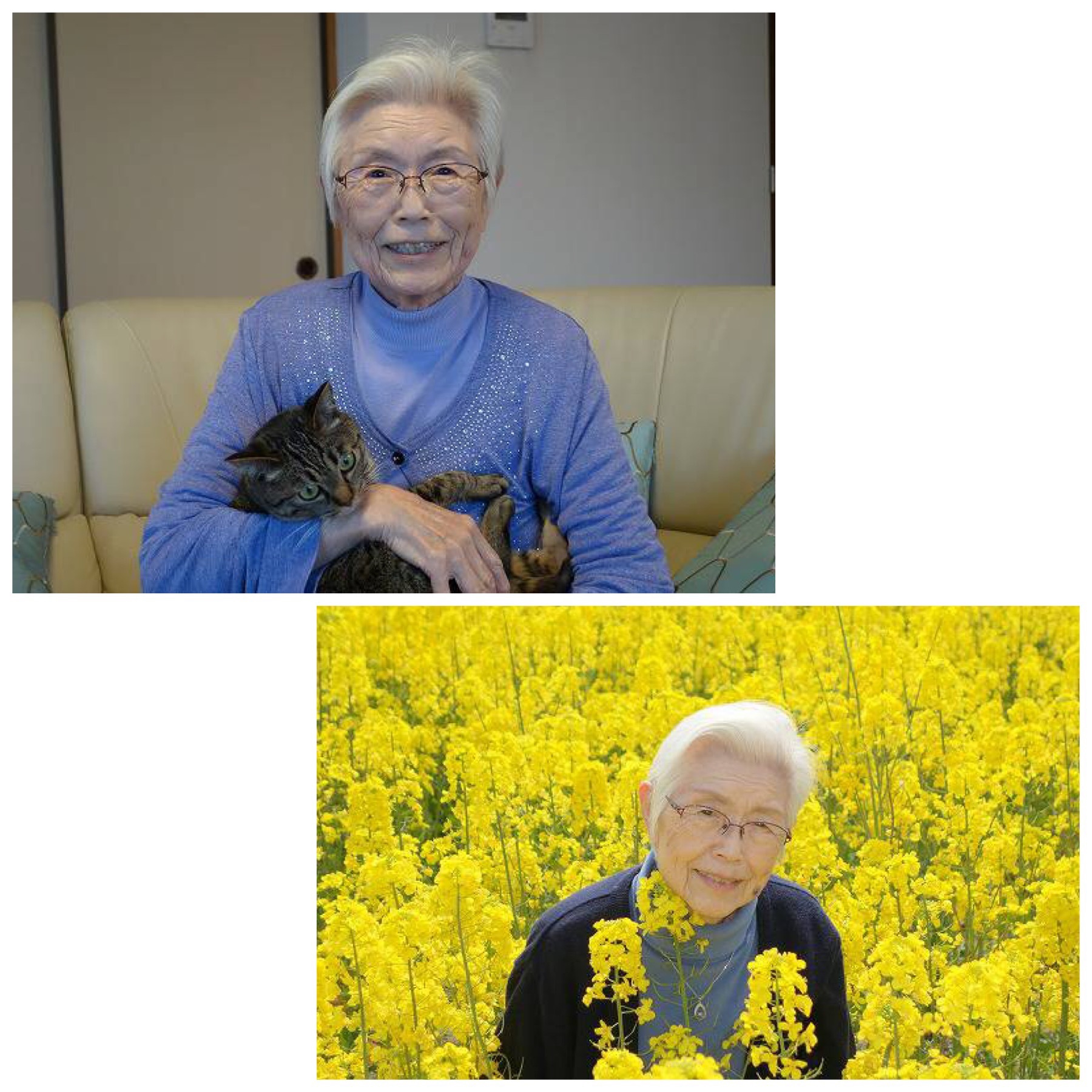 ありがとうございました🙏 動物保護団体わんにゃんこ