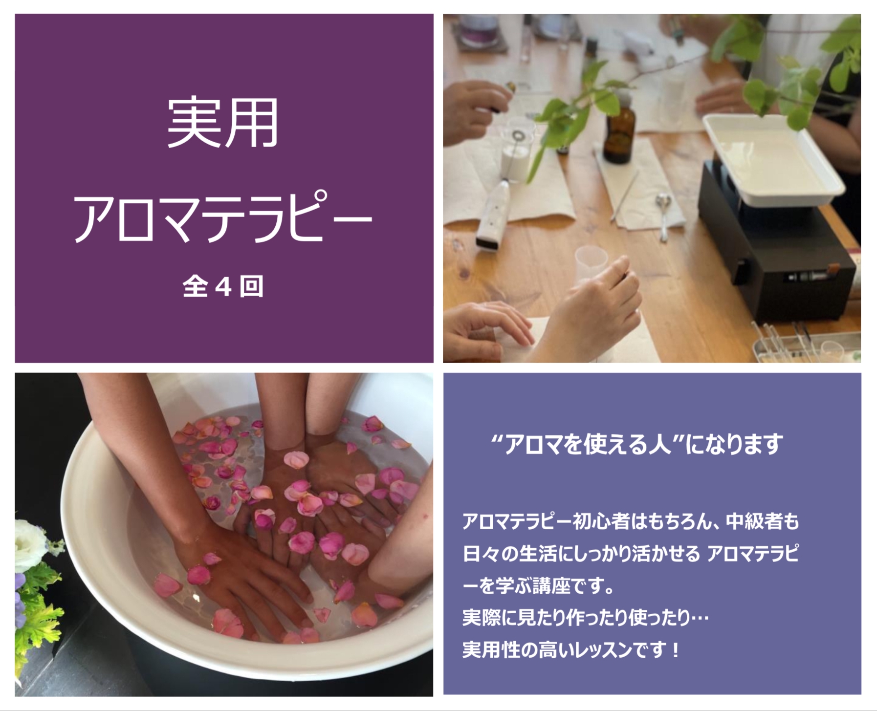 アロマテラピー : <芳香療法>の理論と実際　原書セット Amazon.co.jp: アロマテラピー―〈芳香療法〉の理論と実際