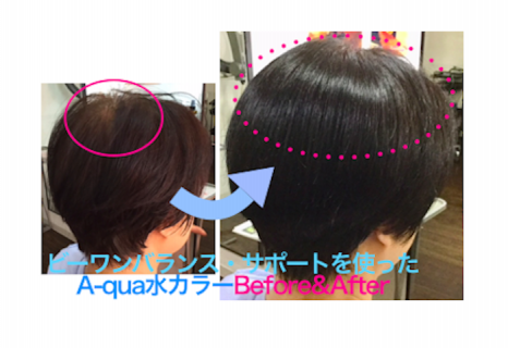 世田谷桜新町弦巻にある頭皮と髪にやさしい美容室zone ゾーン の記事一覧 ページ4