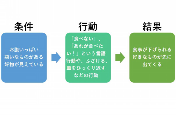 好き嫌いをさせない 予防する方法 発達相談室つばさ