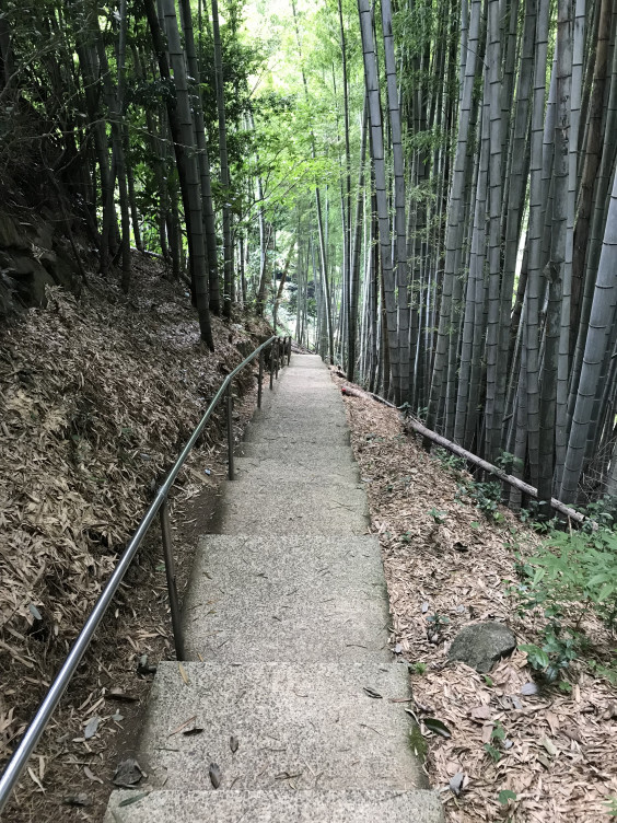 龍関係の神社 3 神龍八大龍王神社 Return Of The Soul