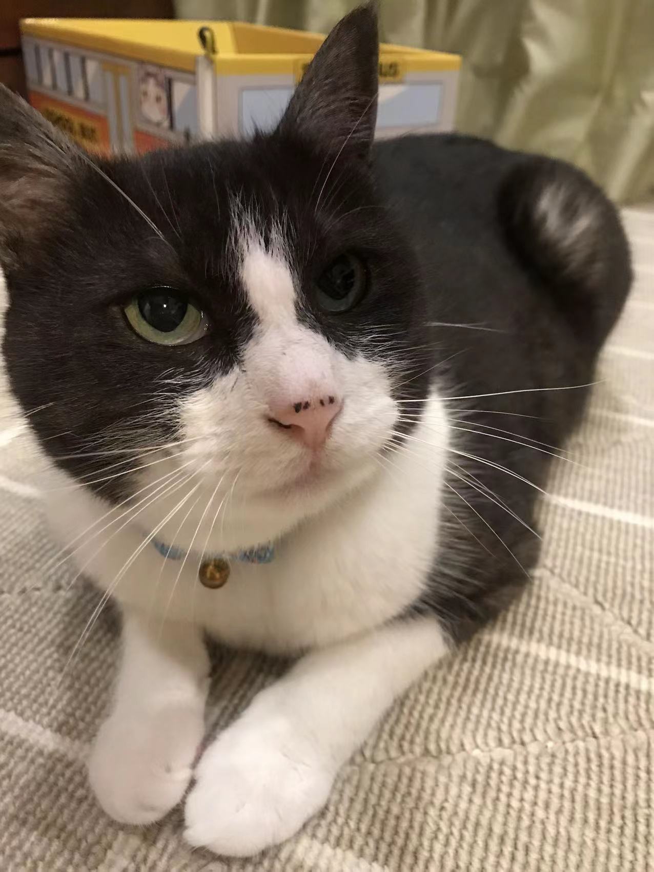 中国サッカーが強くなる日、中国が本当の大国になる日 一号館一 一教室