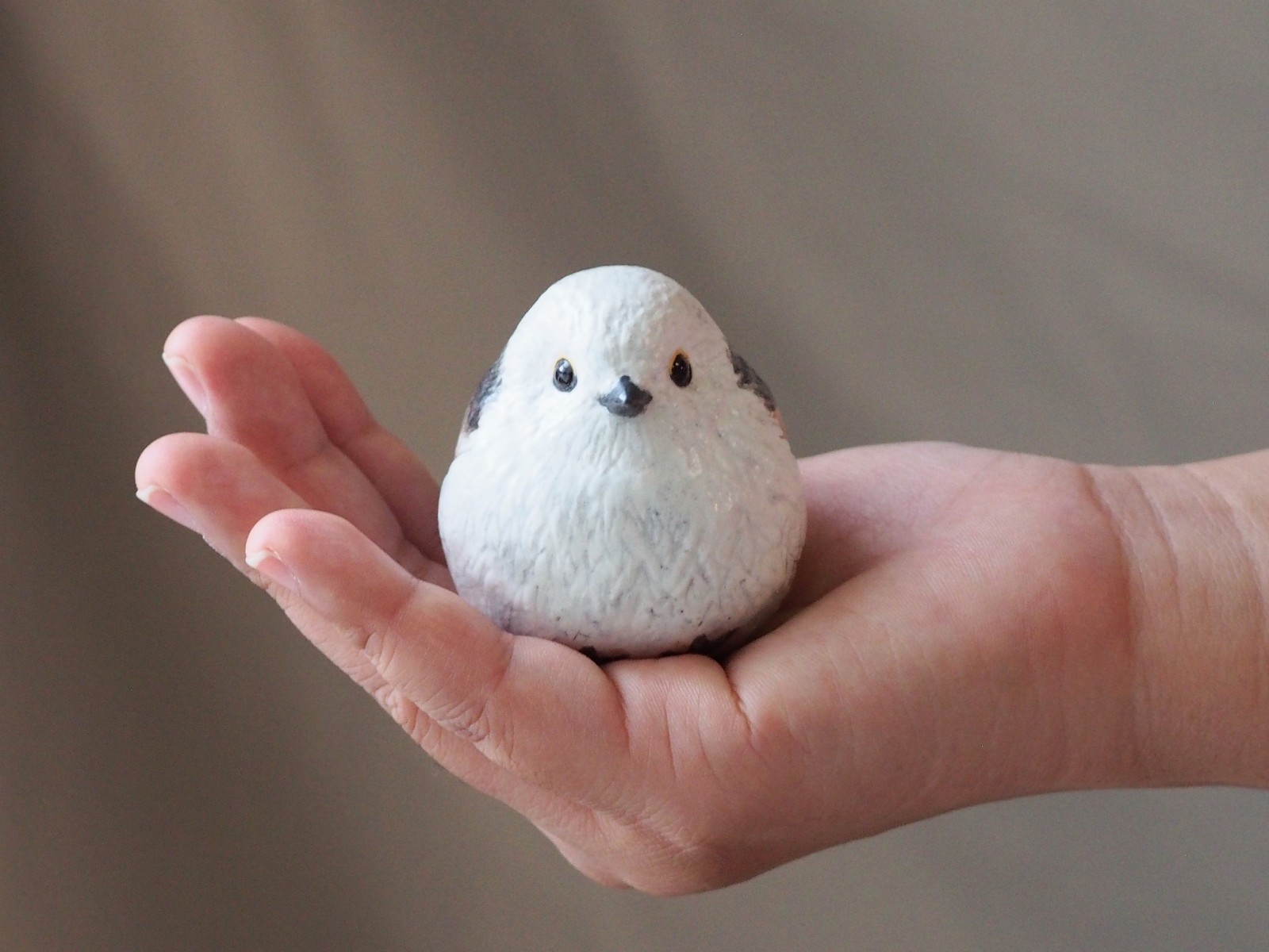 迫力のシマエナガです。