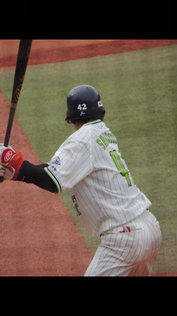 プロ野球 ヤクルトスワローズ集 ヤクルトファンにおすすめ