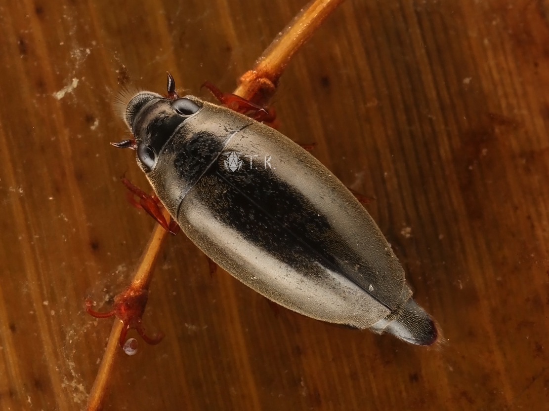 f2236e9119977b71ccb268b5cdce6a